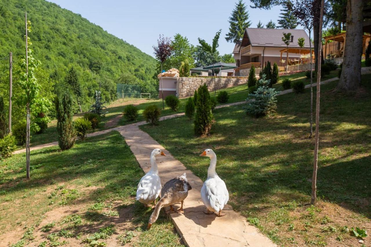 Vila Jasen - Bjelasnica SJJ Exterior foto